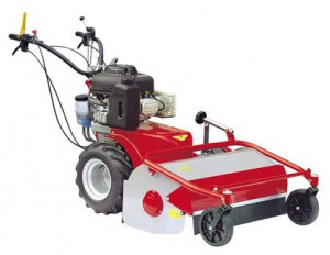 self-propelled lawn mower Meccanica Benassi TR 80 Hydro Characteristics, Photo