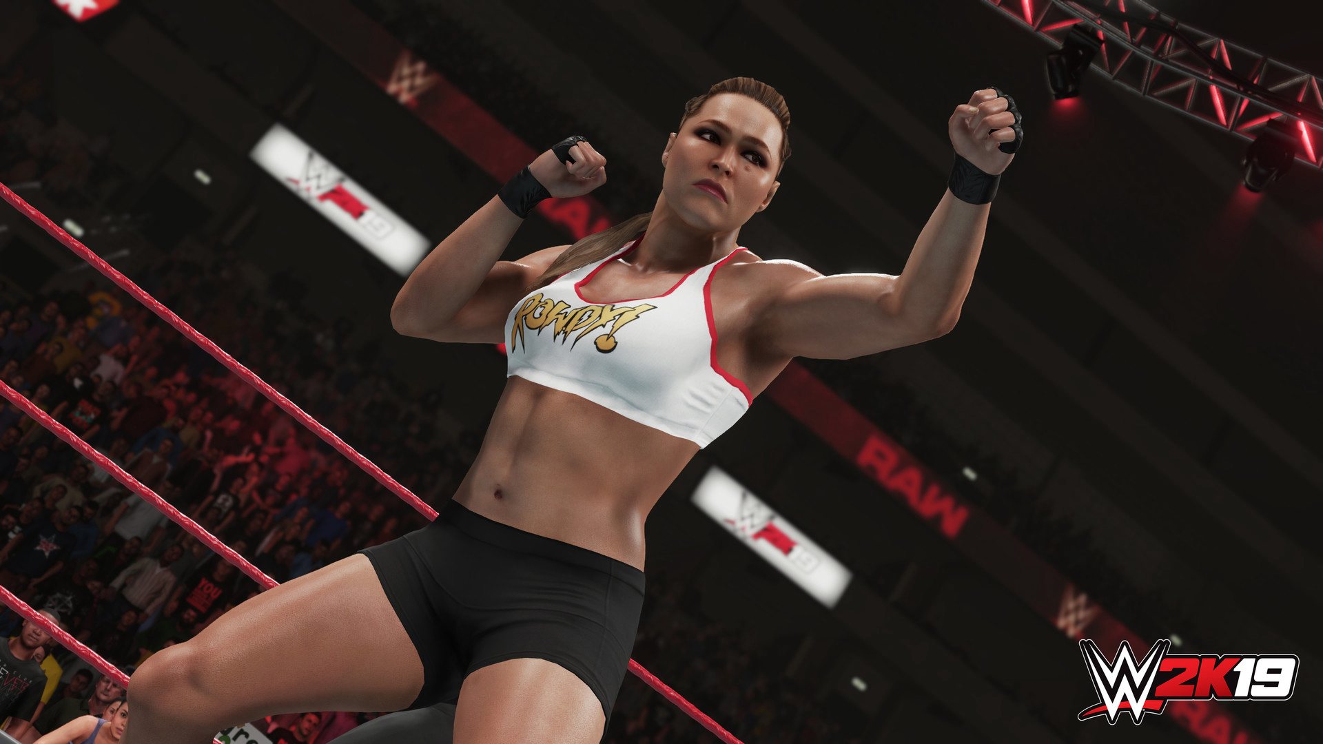 (15.81$) WWE 2K19 PlayStation 4 Account pixelpuffin.net Activation Link