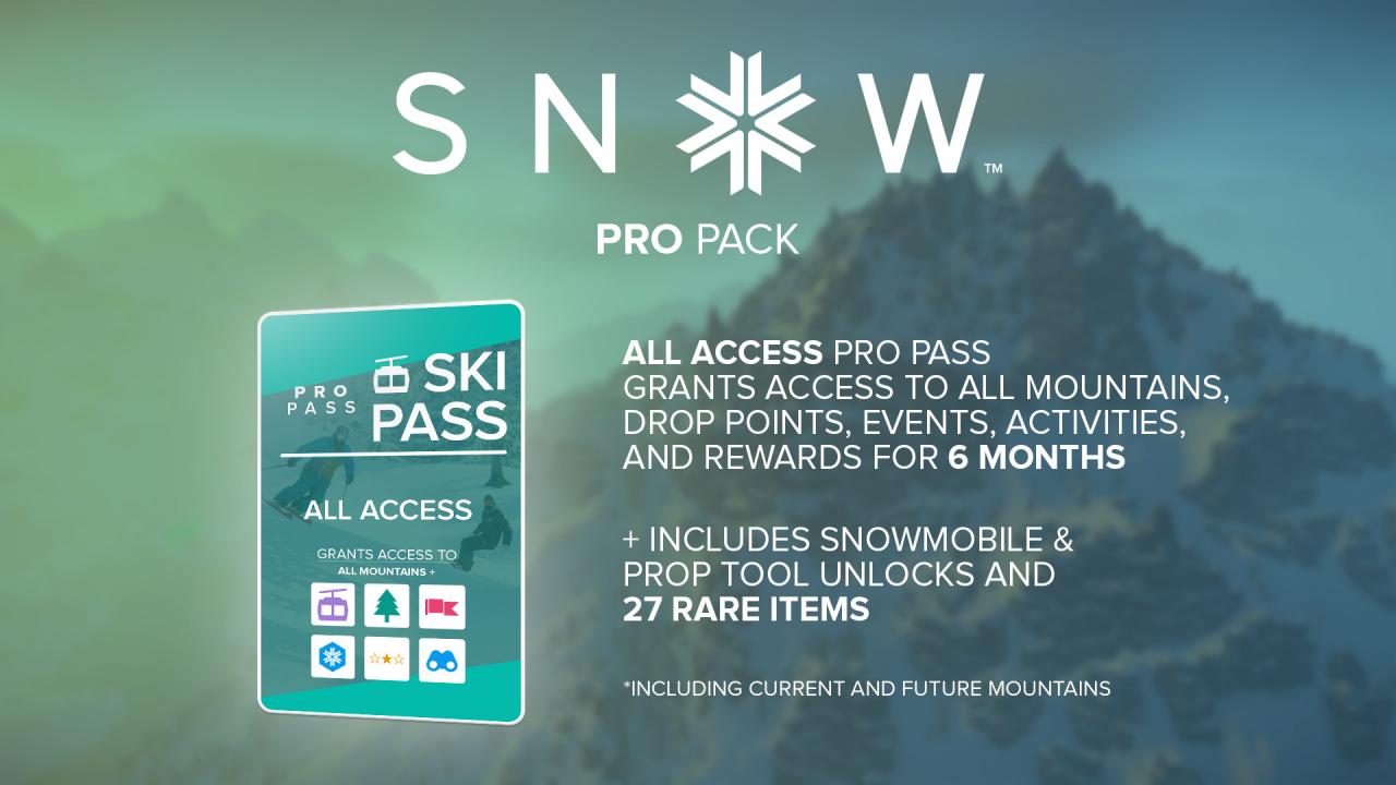 (0.53$) SNOW - Pro Pack DLC EU Steam CD Key