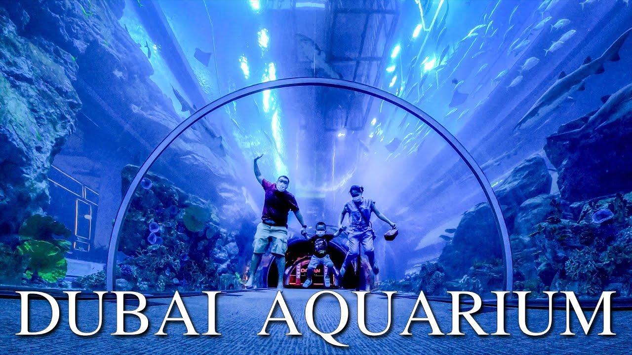 (16.02$) Dubai Aquarium & Underwater Zoo 50 AED Gift Card AE