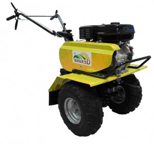 walk-bak traktoren Целина МБ-800 kjennetegn, Bilde