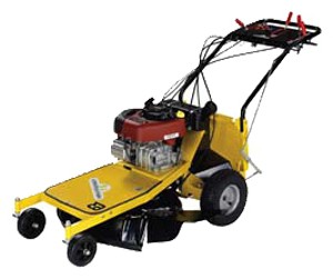 self-propelled lawn mower Eurosystems Professionale 63 Characteristics, Photo