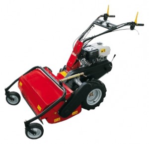 self-propelled lawn mower Solo 526-75 Characteristics, Photo