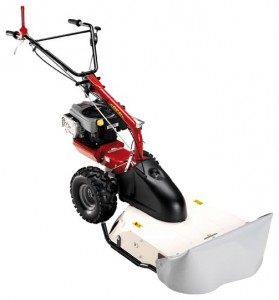 kendinden hareketli çim biçme makinesi Eurosystems P70 850 Series Lawn Mower özellikleri, fotoğraf