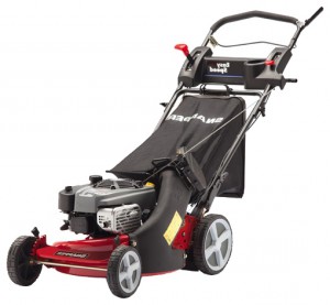 self-propelled lawn mower SNAPPER EP2187520BV Easy Speed Characteristics, Photo